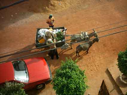 eboueurs au petit matin